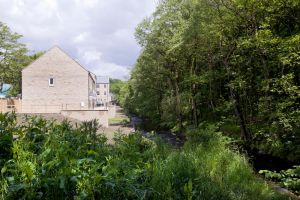 c25-woodland view 24 sm.jpg
